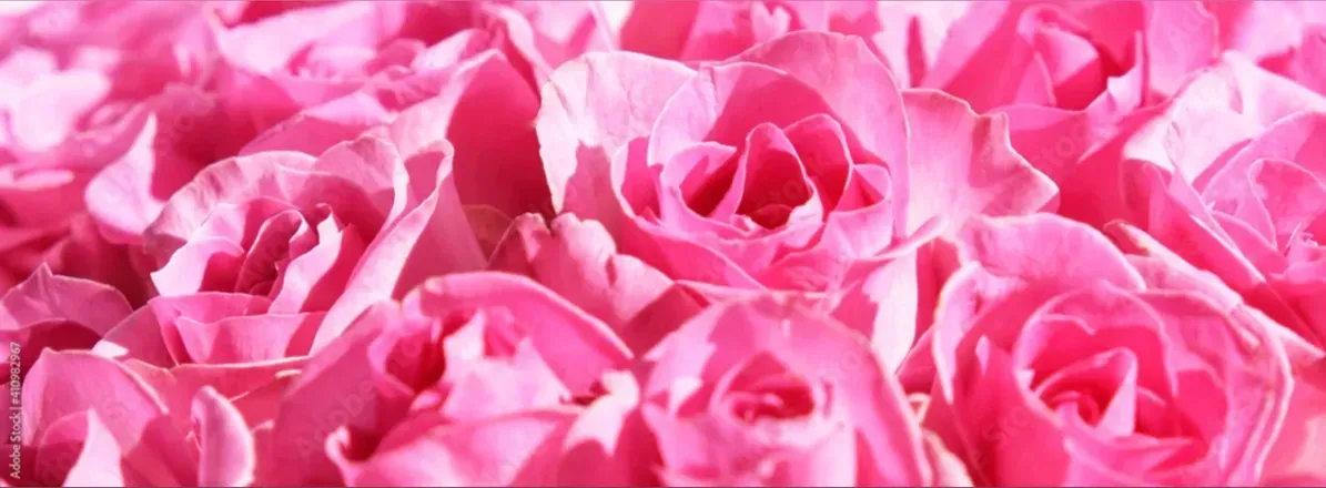 OnlyFans cuenta missperidotrose header 2
