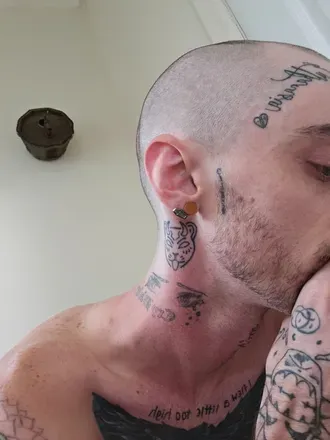 OnlyFans cuenta cashmerenoose avatar 1