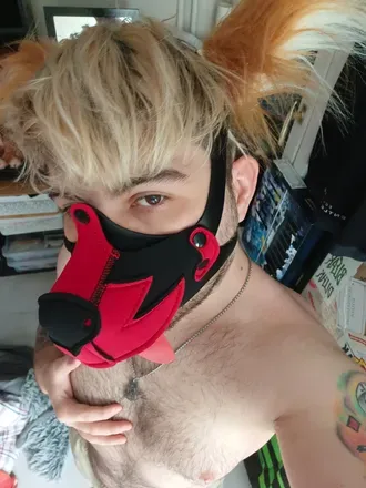 OnlyFans account  rawrfox avatar 1