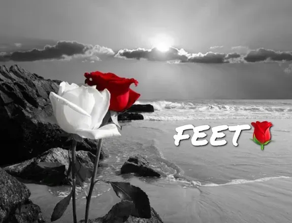 OnlyFans cuenta mzlovelyfeett header 2