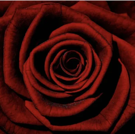 OnlyFans cuenta u170702885 header 2