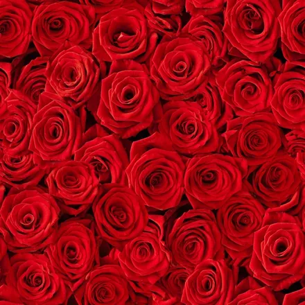 OnlyFans cuenta miss.elleexx header 2