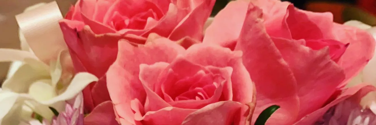 OnlyFans cuenta hibiki_rose header 2