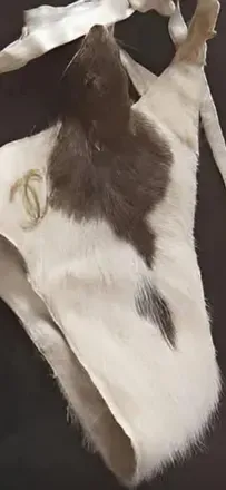 OnlyFans account  taxiderm avatar 1