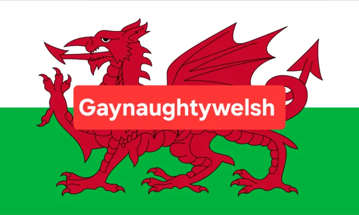 OnlyFans cuenta gaynaughtywelsh.2 header 2