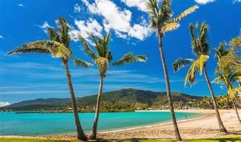 OnlyFans cuenta mac_knight header 2