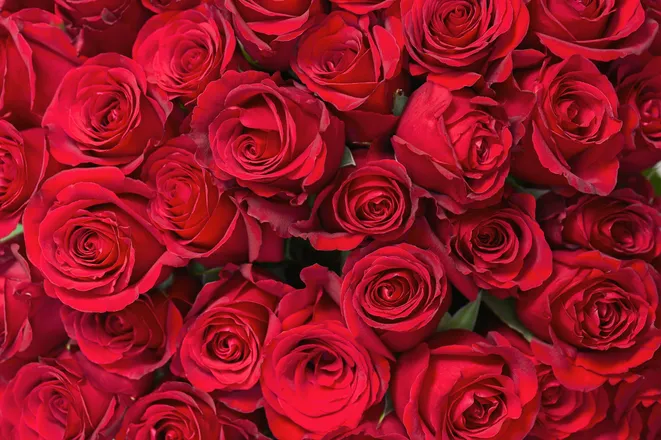 OnlyFans cuenta jenniferm5198 header 2