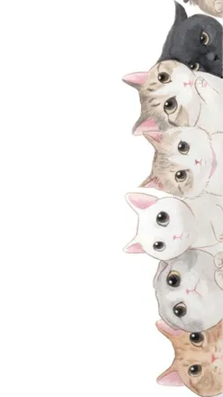 OnlyFans account  kittiekatsa header 2