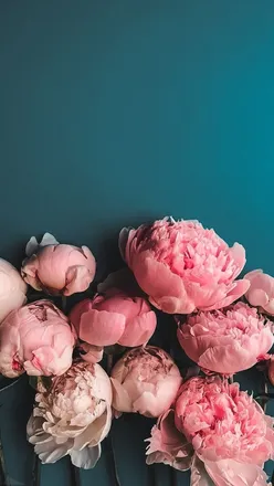 OnlyFans cuenta juliie710 header 2