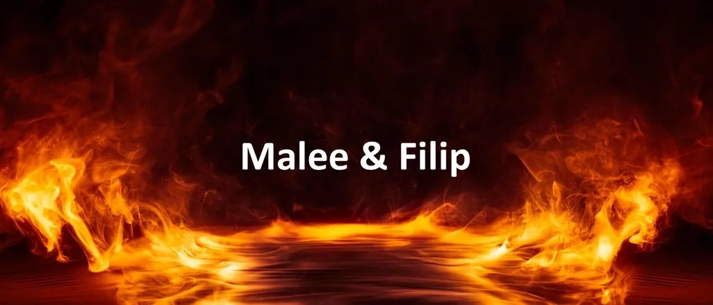 OnlyFans cuenta maleeandfilip header 2
