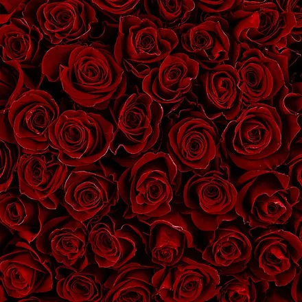 OnlyFans cuenta mommyrozie69 header 2