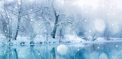 OnlyFans account  soft.snowflake.boy header 2