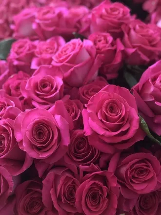 OnlyFans cuenta sugarcoatedpiggies header 2