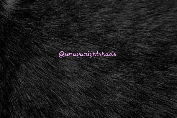 OnlyFans cuenta sorayanightshade header 2