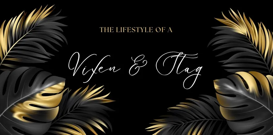 OnlyFans cuenta vixenstaglifestyle header 2