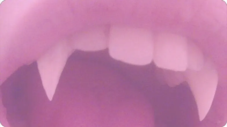 OnlyFans cuenta pochidollyvip header 2