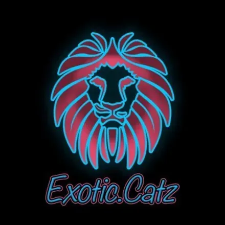 OnlyFans cuenta exotic_catz avatar 1
