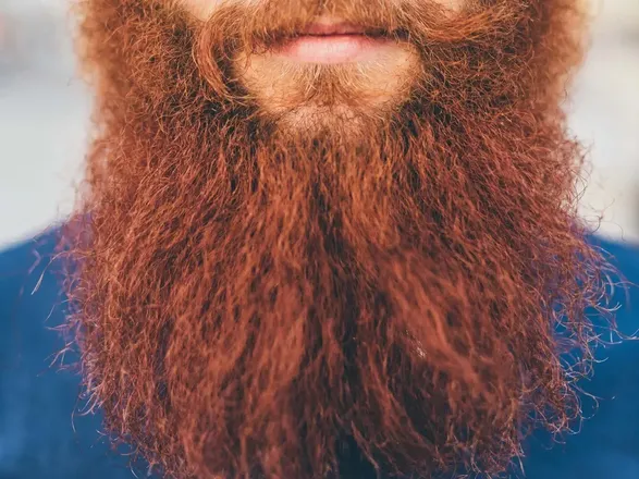 OnlyFans cuenta beardandbawlls header 2