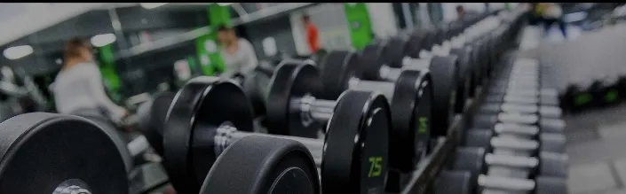 OnlyFans account  fitnessfreakkk header 2