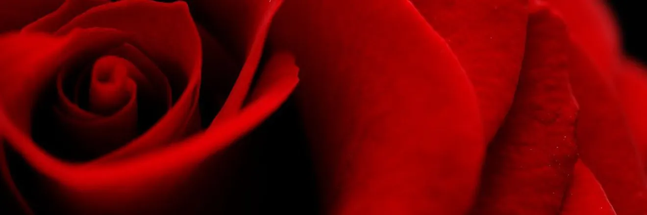 OnlyFans cuenta redvelvet19 header 2