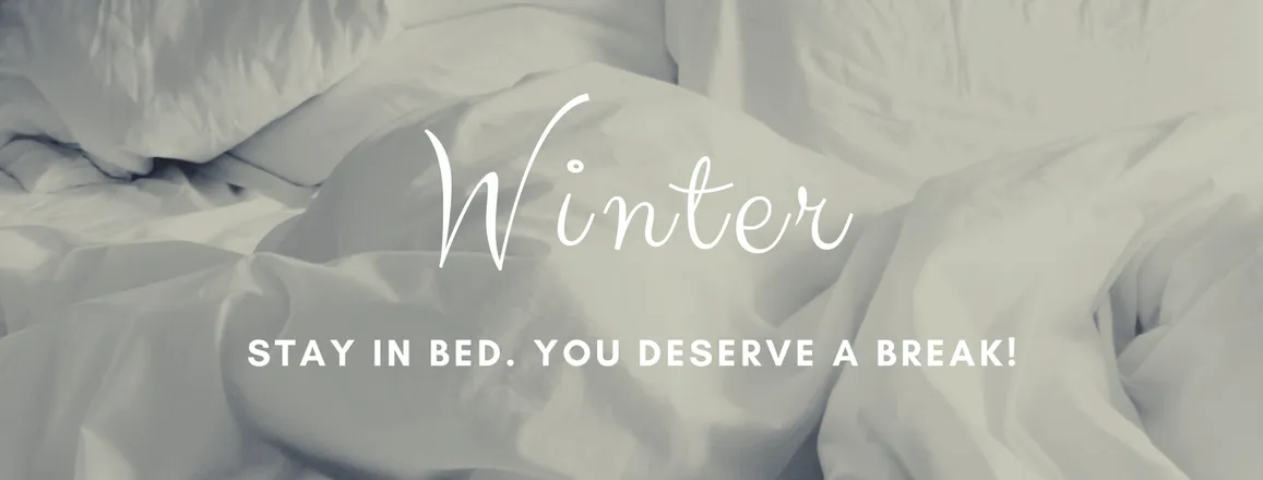 OnlyFans cuenta winterporshe header 2