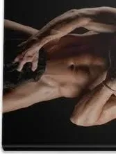 OnlyFans cuenta maxpegasus header 2