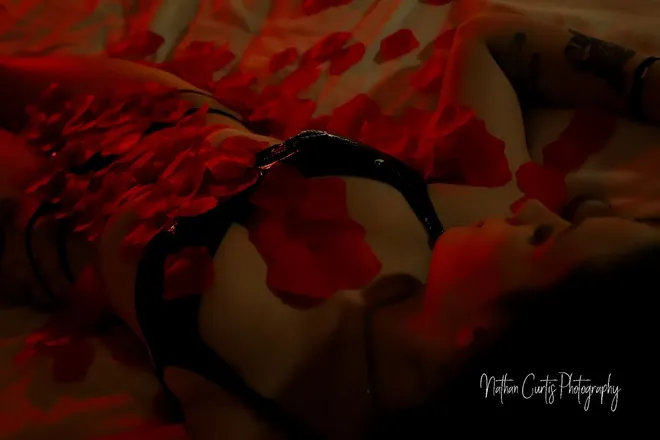 OnlyFans cuenta taylorbailey0825 header 2