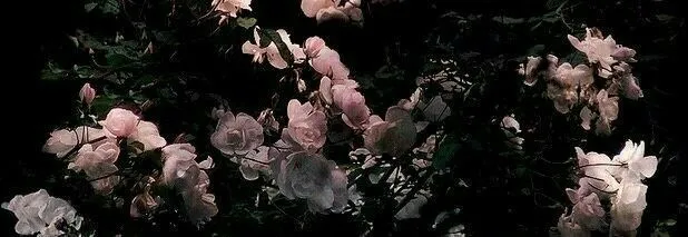 OnlyFans cuenta ellesatin header 2