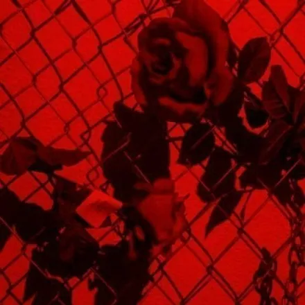 OnlyFans cuenta rociodiorick header 2