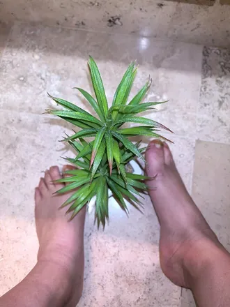 OnlyFans cuenta uglyfuglyfeet header 2