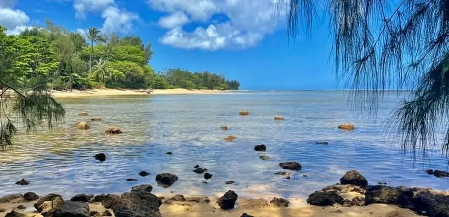 OnlyFans cuenta alohababii header 2