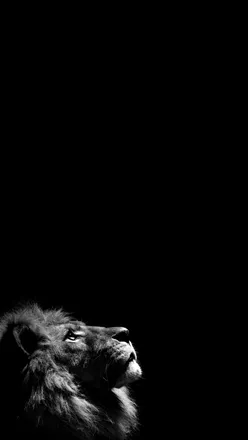 OnlyFans cuenta darkknight0814 header 1