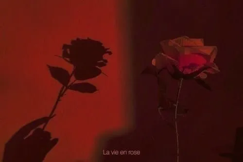 OnlyFans cuenta rosesls header 2