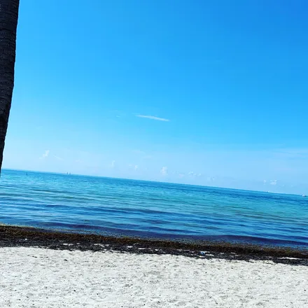 OnlyFans cuenta camperlife header 2