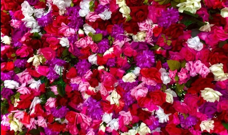 OnlyFans cuenta rose_blossom header 2