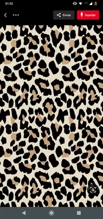 OnlyFans cuenta nikimylove header 2