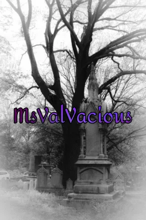 OnlyFans account  valvacious header 2