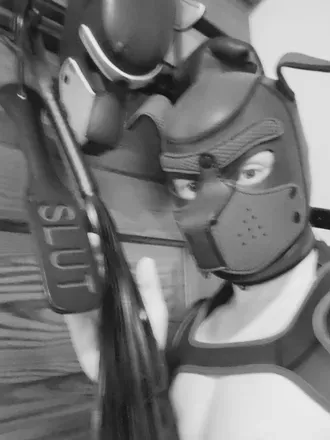 OnlyFans cuenta puppyman963 avatar 1