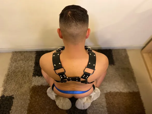 OnlyFans cuenta rralbearmorb header 2