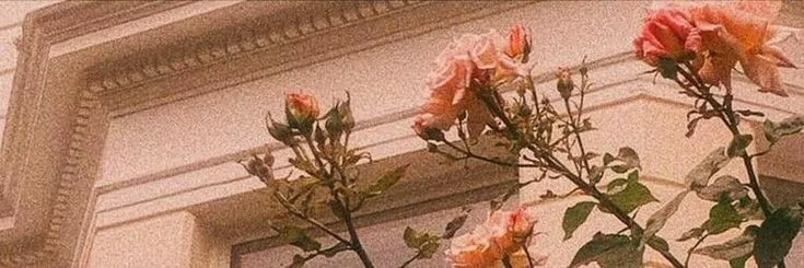 OnlyFans cuenta thique_cutie header 2
