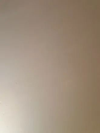 OnlyFans account  hunnybunz_0201 header 2
