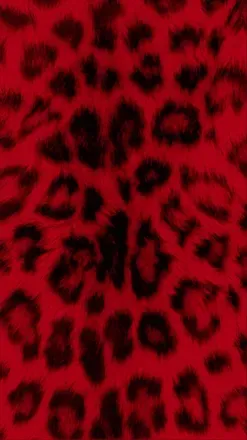 OnlyFans cuenta reinababe header 2