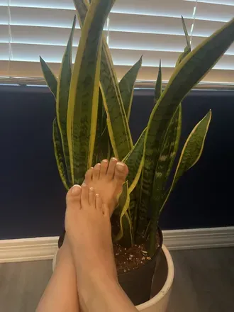 OnlyFans cuenta toesforless avatar 1