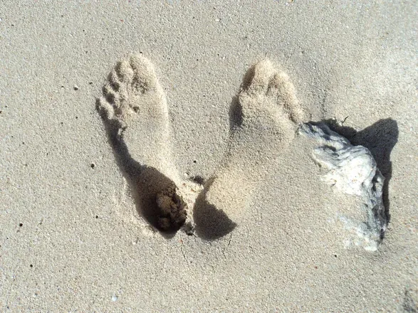 OnlyFans account  lespiedsduyeti_feet avatar 1