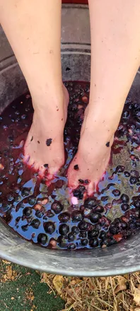 OnlyFans cuenta stacytoes31 header 2