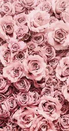 OnlyFans cuenta kimberleee001 header 2