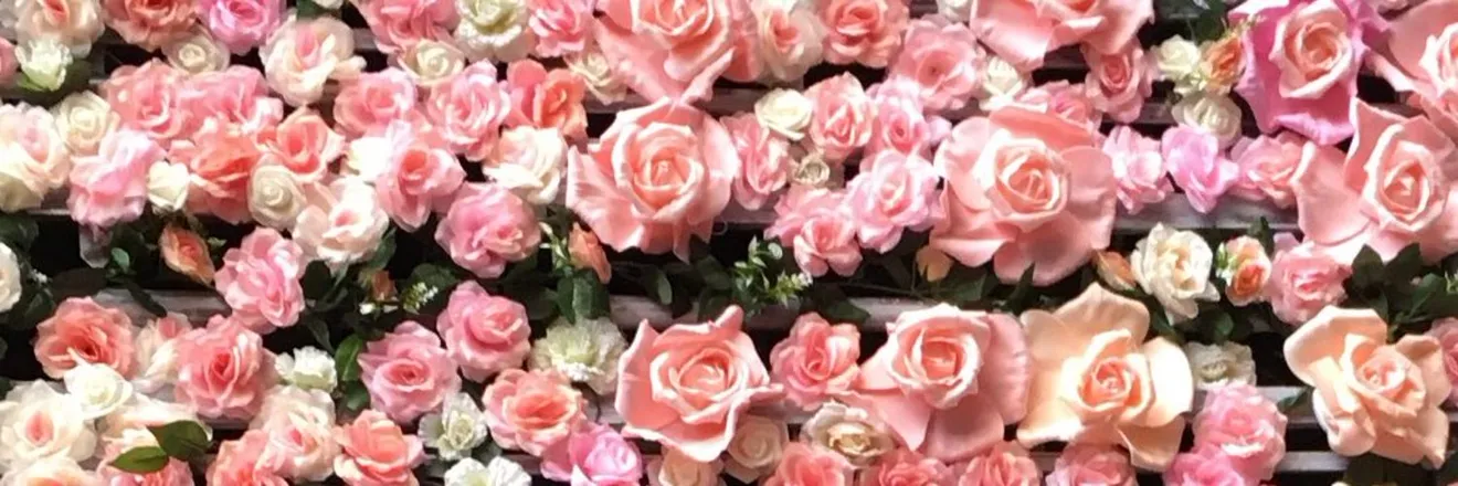 OnlyFans cuenta rhoseyx1 header 2