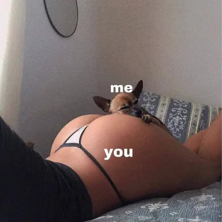 OnlyFans cuenta eggandchesse1 header 2