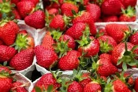OnlyFans account  strawbearycreams header 2