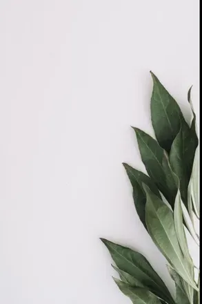 OnlyFans cuenta lachiolunna header 2
